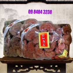 Nấm linh chi đá Hàn Quốc loại còn chân Thảo Dược Bảo Vệ Sức Khỏe